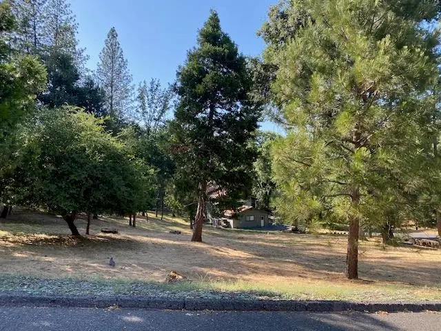 20782 Buttercup Circle, Groveland, CA 95321 - Image #3