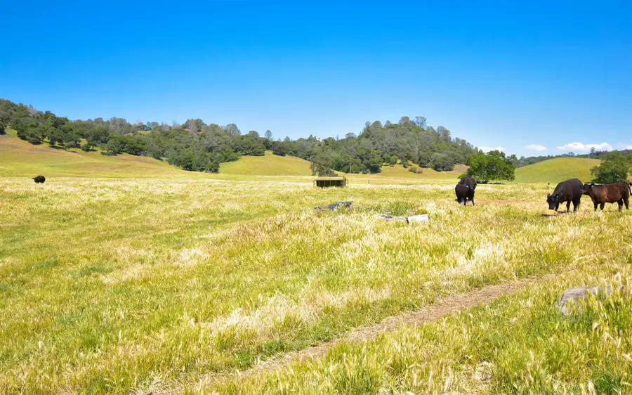 9436 Fraguero, Sonora, CA 95370 - Image #3