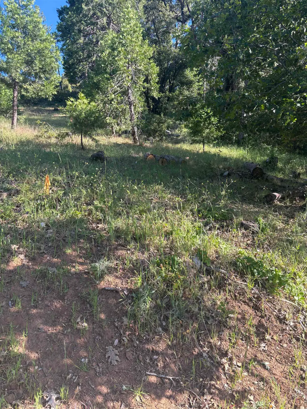 00000 Eastview Dr, Tuolumne, CA 95379 - #1