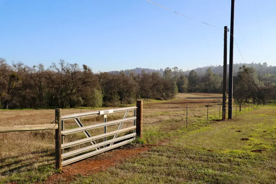 10282 Piney Creek, Coulterville, CA 95311 - #3