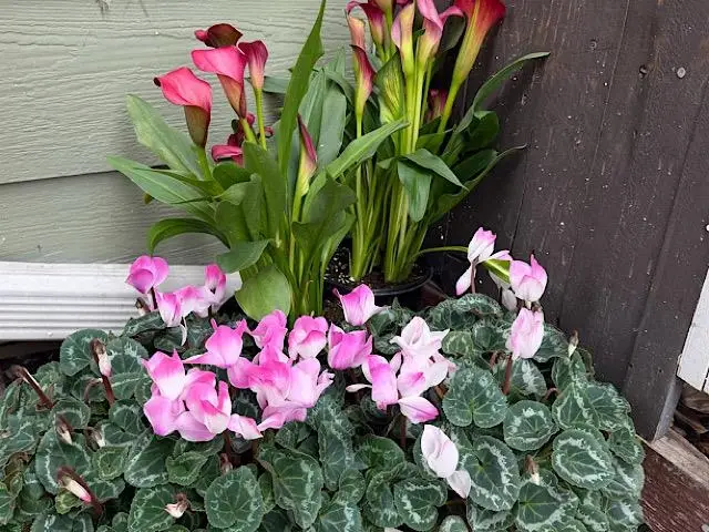 4706 San Pablo Dam Rd., El Sobrante, CA 94803 - Image #3