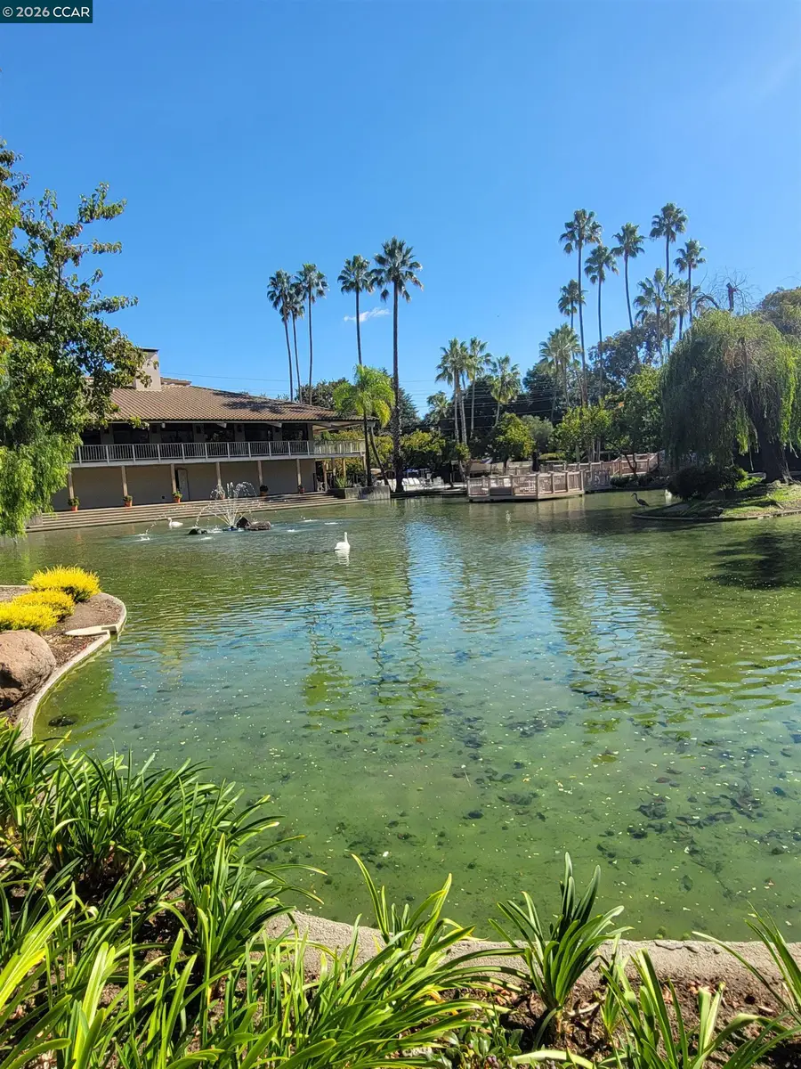310 Civic Dr.  #315, Walnut Creek, CA 94597 - Image #3