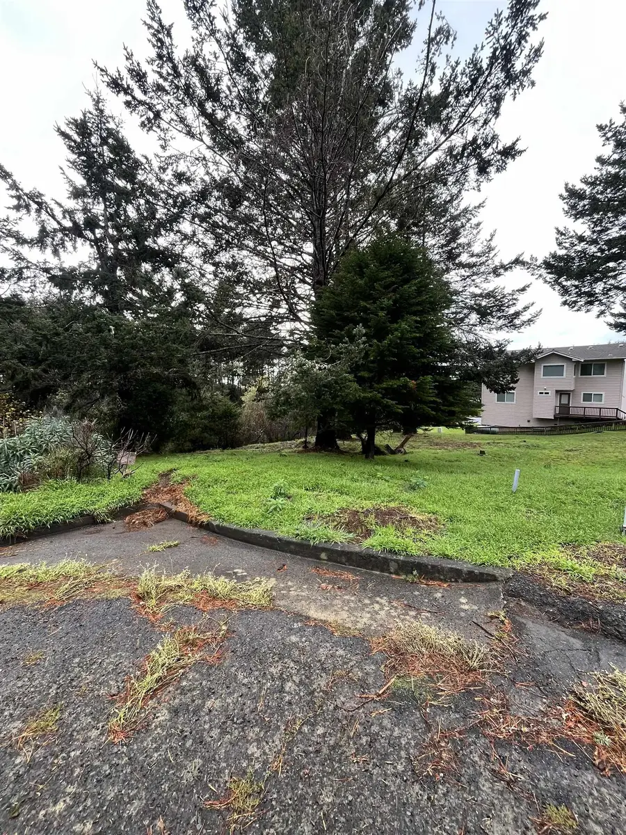 22 Spruce Ct, Whitethorn, CA 95589 - #3