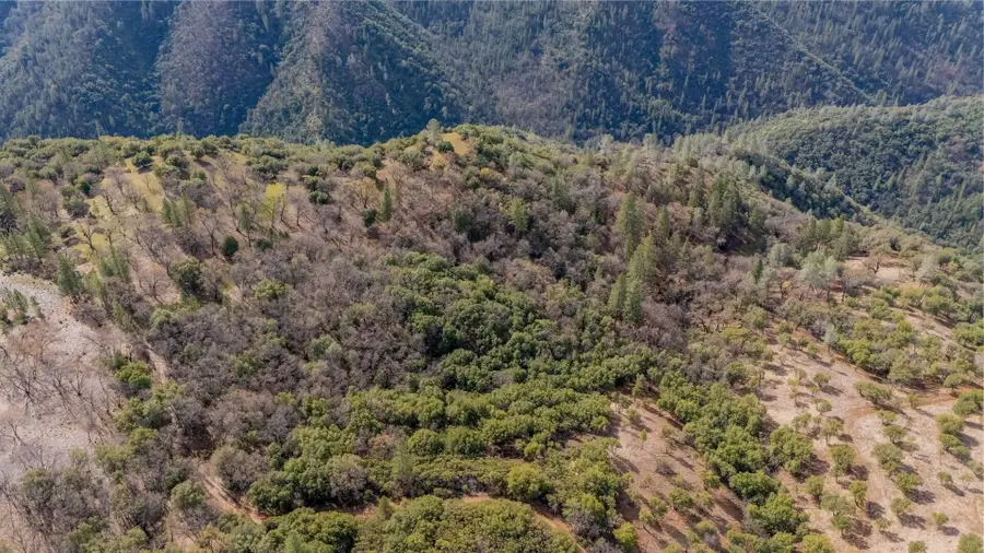 25555 Forest Rte 3N11, Columbia, CA 95310 - #3