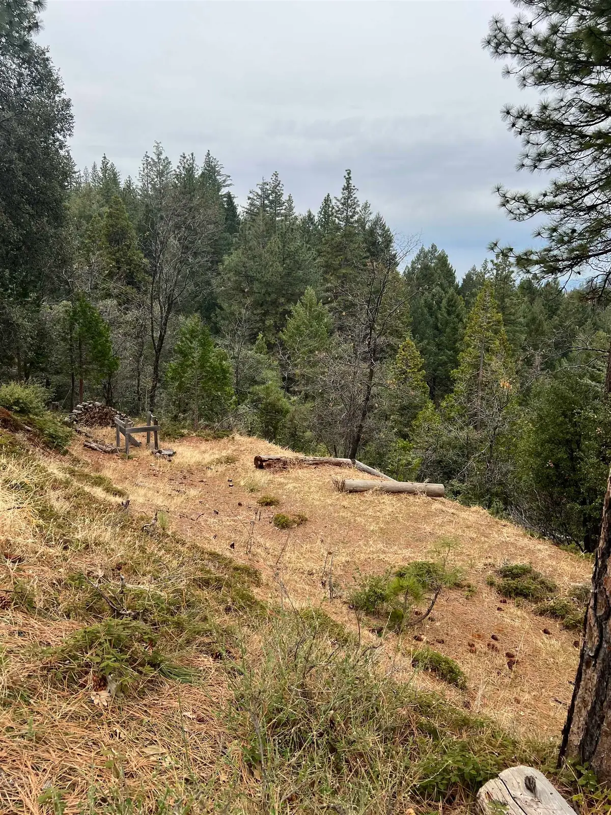 19262 Tanglewood Trl., Twain Harte, CA 95383 - #1