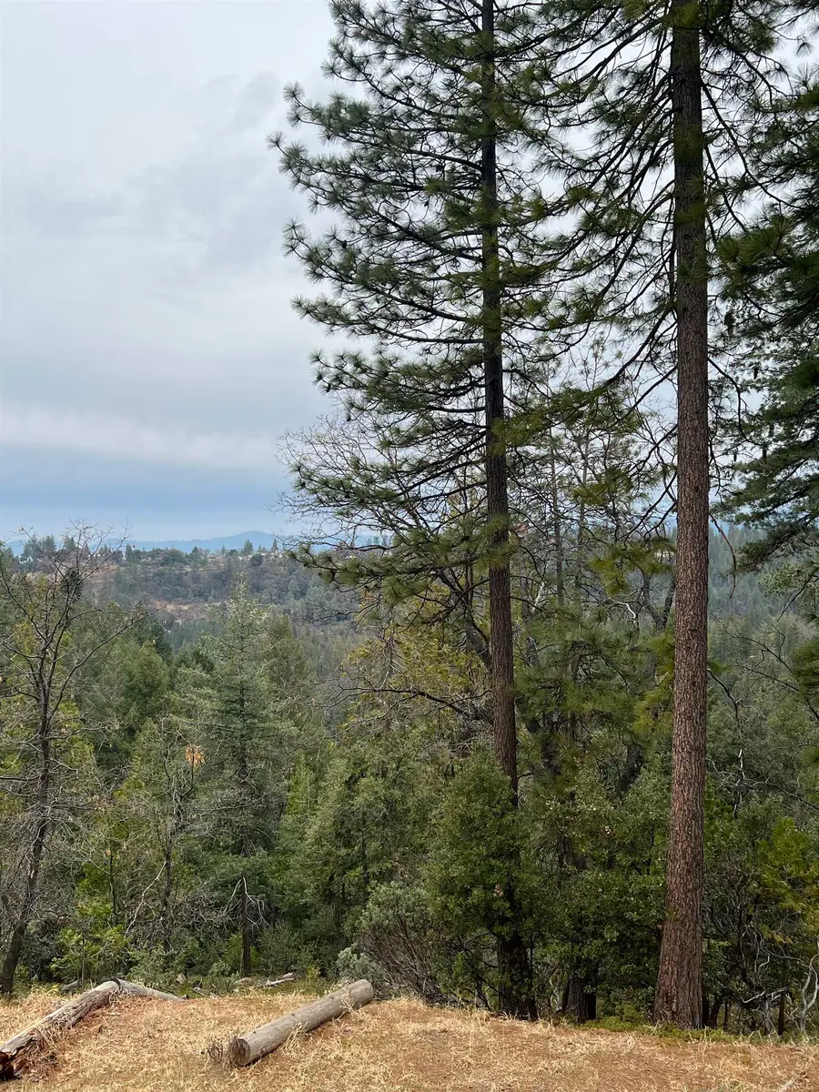 19262 Tanglewood Trl., Twain Harte, CA 95383 - #2