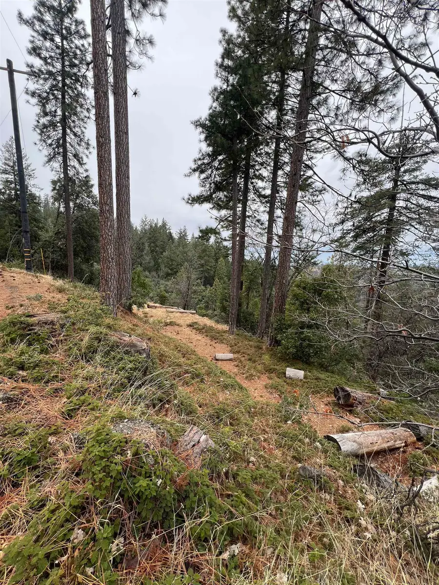 19262 Tanglewood Trl., Twain Harte, CA 95383 - #3