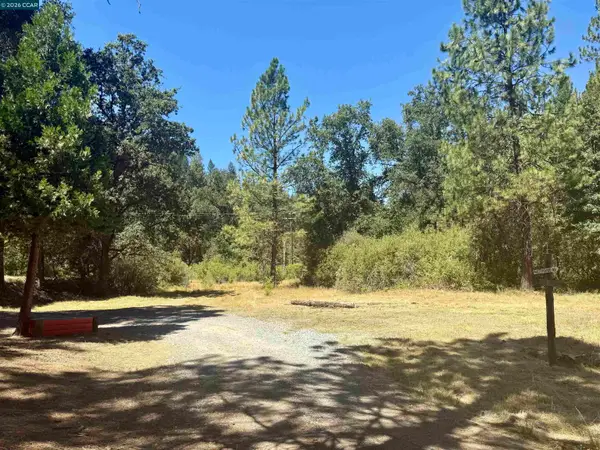 4578 Pretty Good Rd, PLACERVILLE, CA 95667