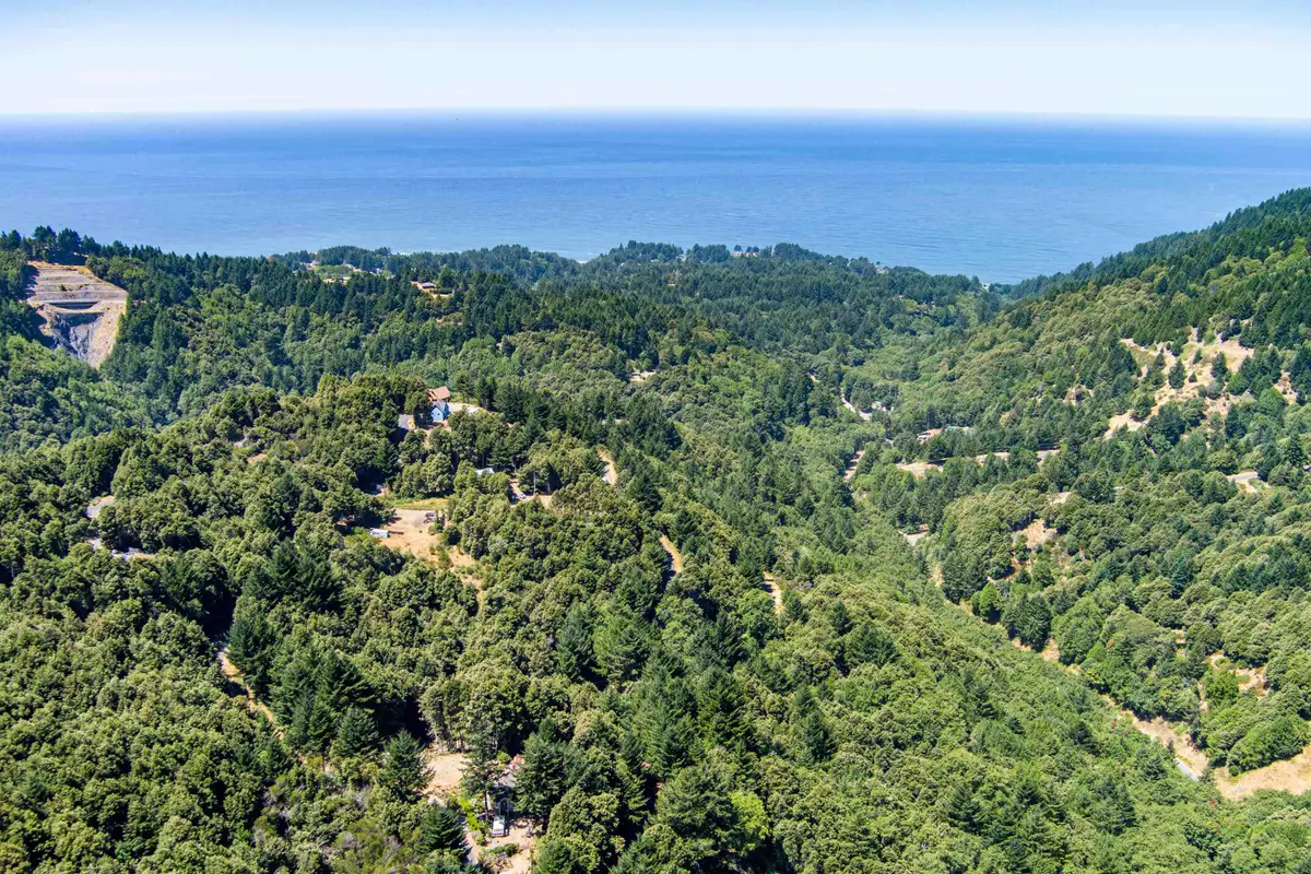 91 Walker Way, Whitethorn, CA 95589 - #1