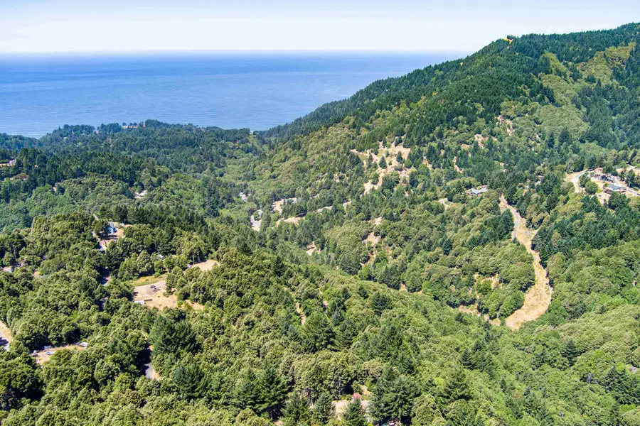 91 Walker Way, Whitethorn, CA 95589 - #3