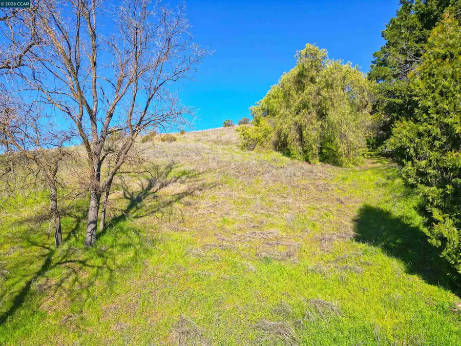 2590 Caballo Ranchero Dr, Diablo, CA 94528 - #3