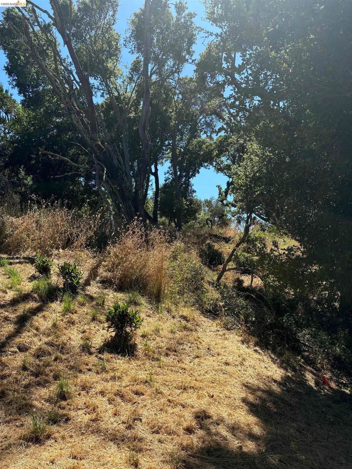 Spring Rd, Orinda, CA 94563 - #1