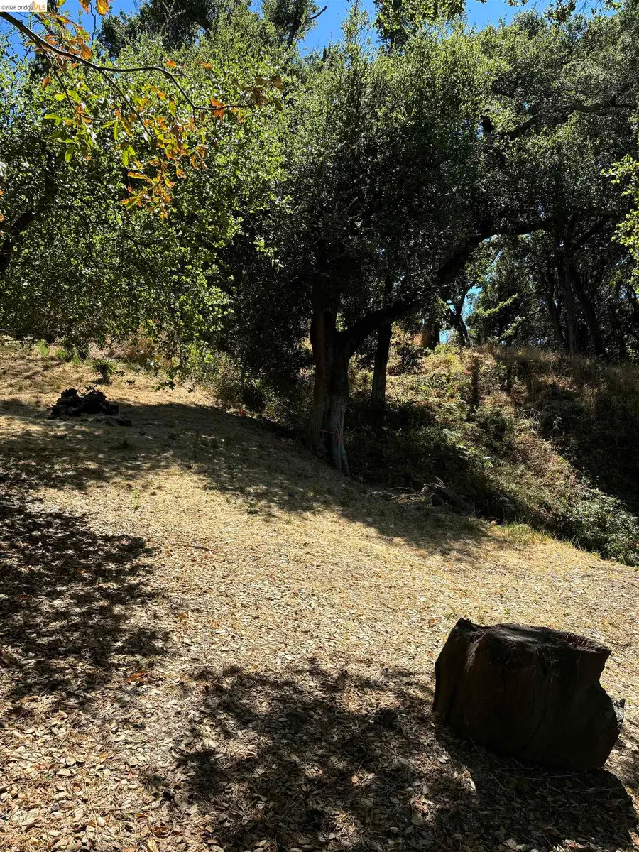 Spring Rd, Orinda, CA 94563 - #2