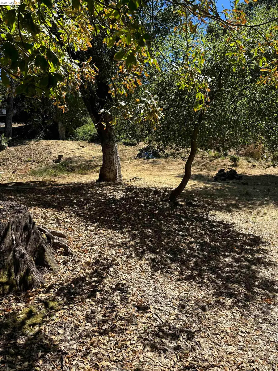 Spring Rd, Orinda, CA 94563 - #3