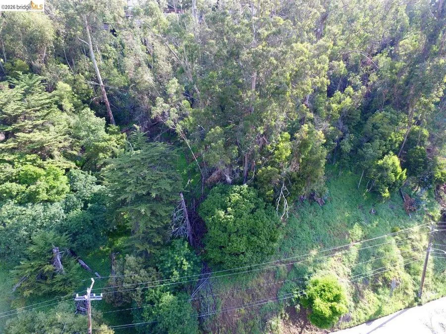 Scout Rd, Oakland, CA 94611 - #3