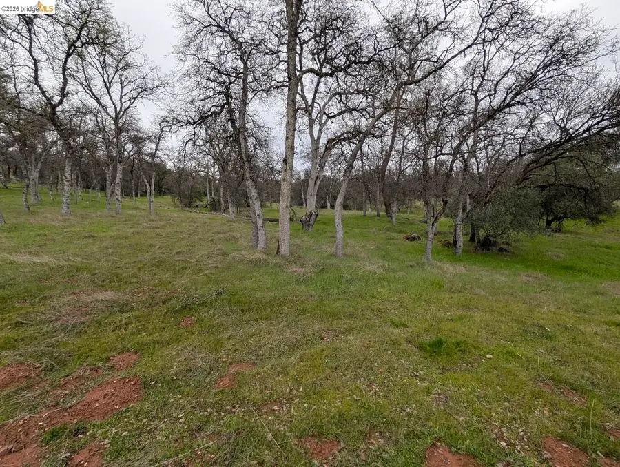 18340 Henry D CT, Sonora, CA 95370 - #2