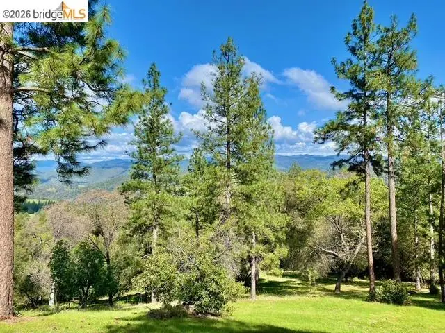 19071 Jones Hill Ct, Groveland, CA 95321 - #2