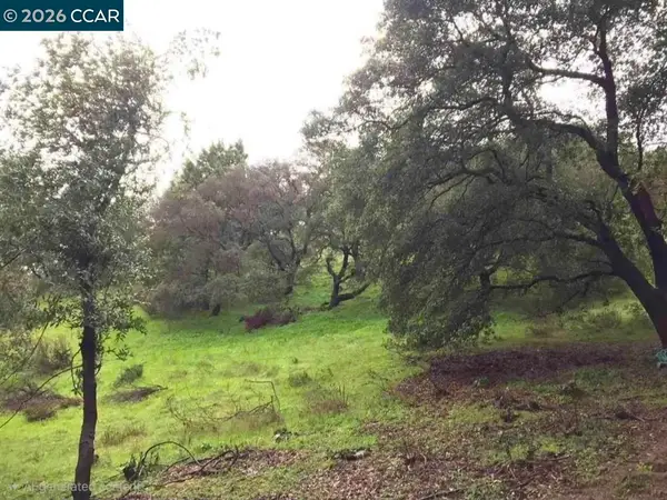 16 Brandywine Way, MARTINEZ, CA 94553