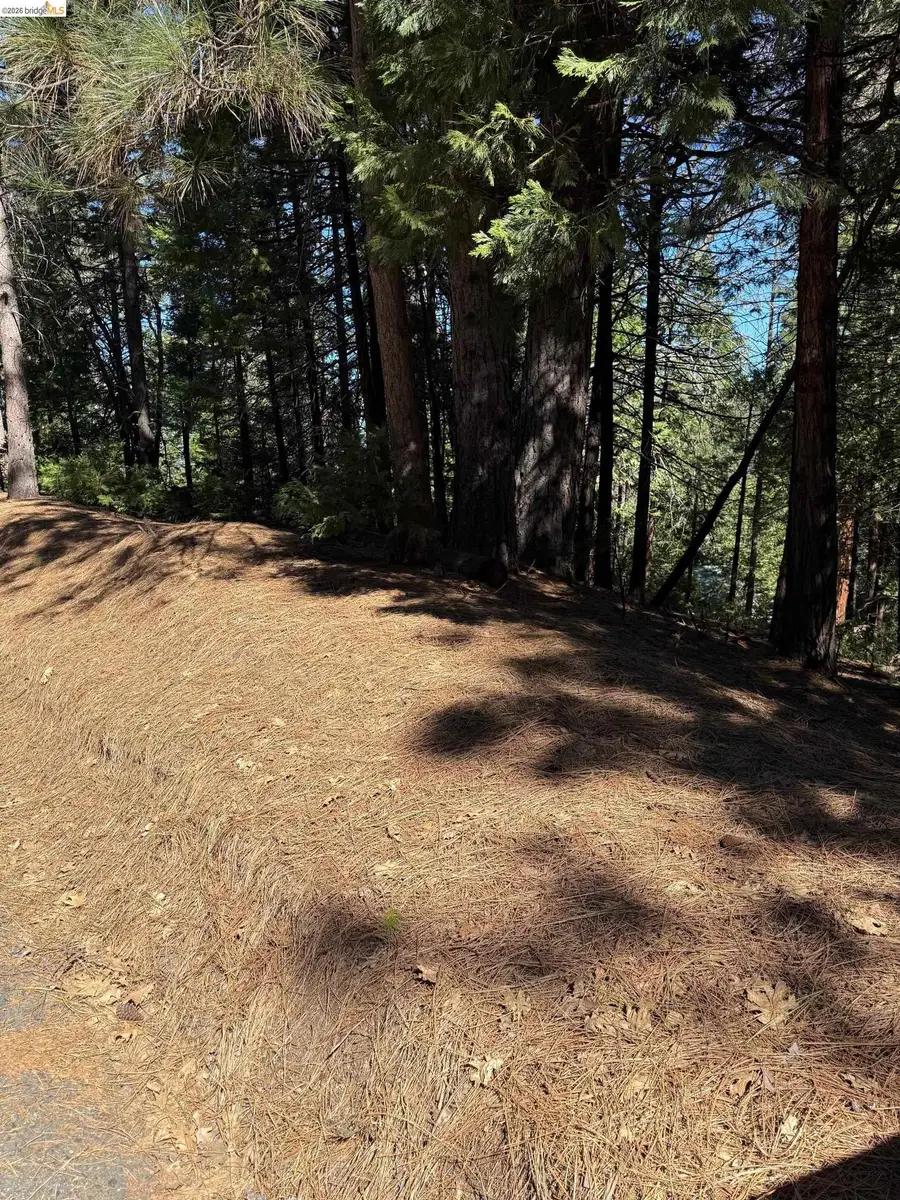 000 Lot 498 Oxbow Lane N, Sonora, CA 95370 - #3