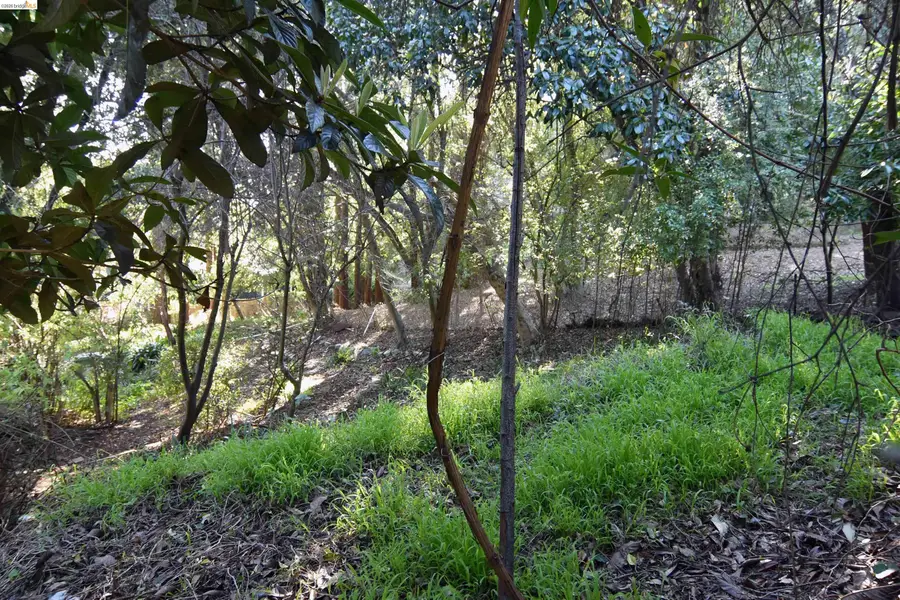 962 Regal Rd, Berkeley, CA 94708 - #3