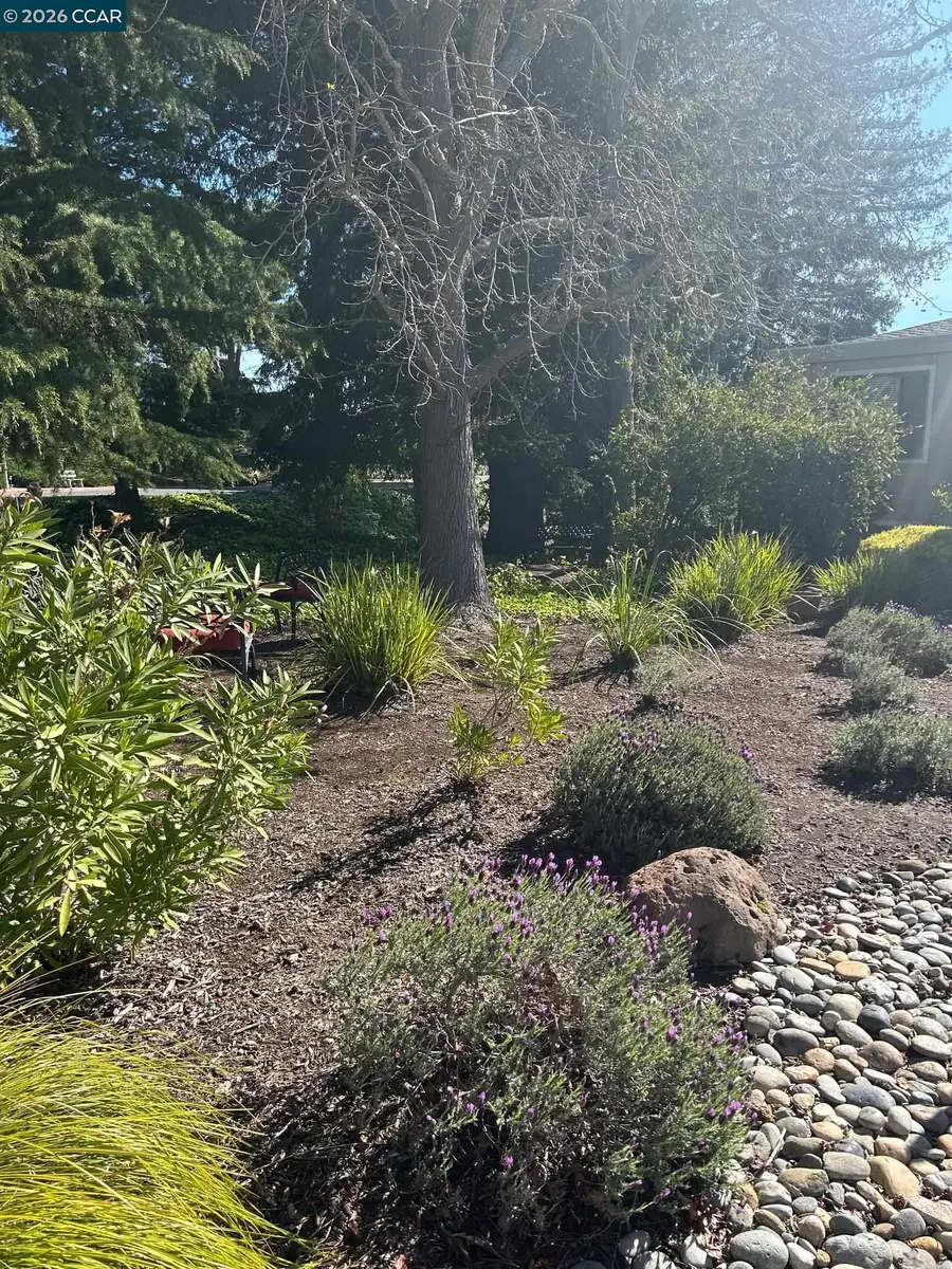 2901 Golden Rain Rd  #2, Walnut Creek, CA 94595 - #3