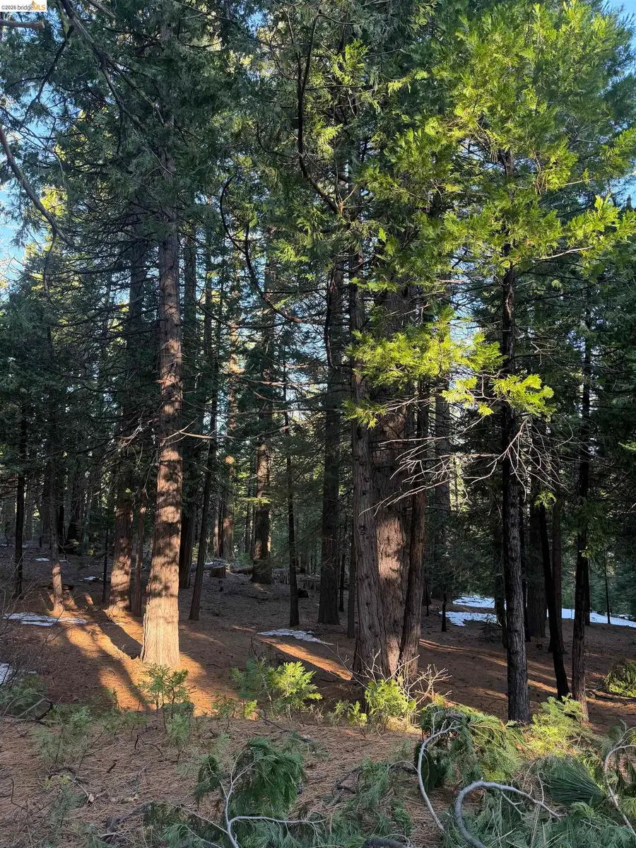 Address Withheld By Seller, Murphys, CA 95247 - #2