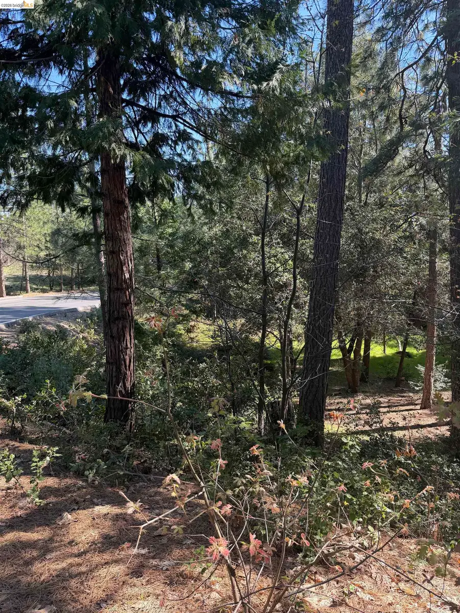 Address Withheld By Seller, Murphys, CA 95247 - #3