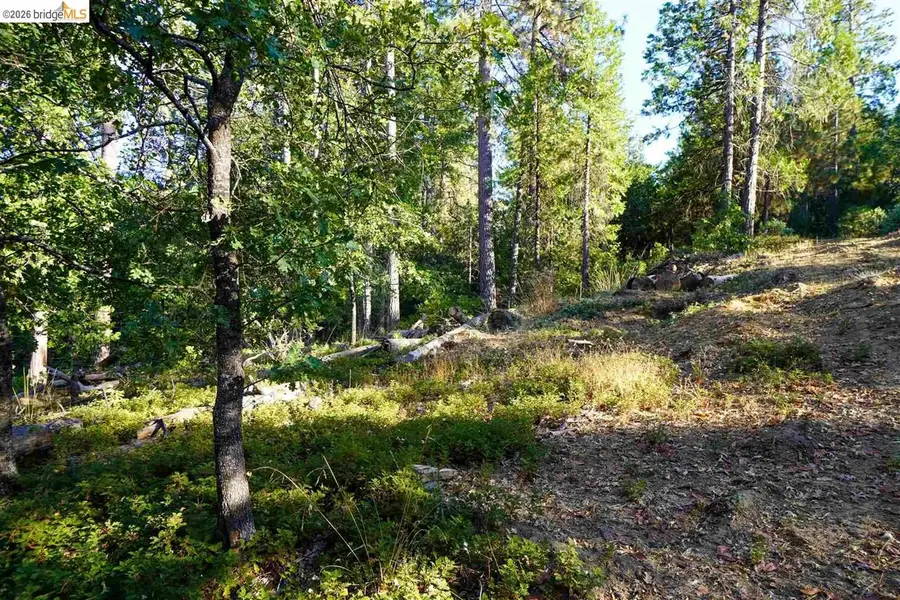 157 Canyon View, Hathaway Pines, CA 95233 - #2