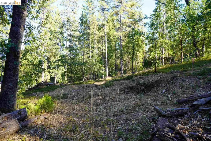 157 Canyon View, Hathaway Pines, CA 95233 - #3