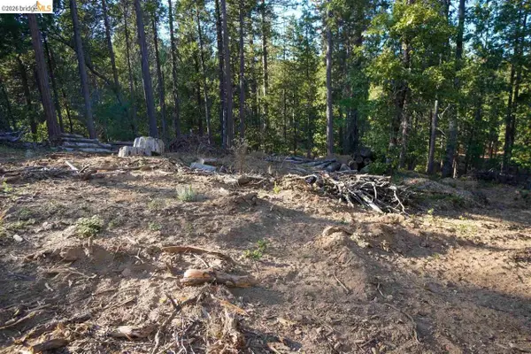 169 Canyon View, HATHAWAY PINES, CA 95233