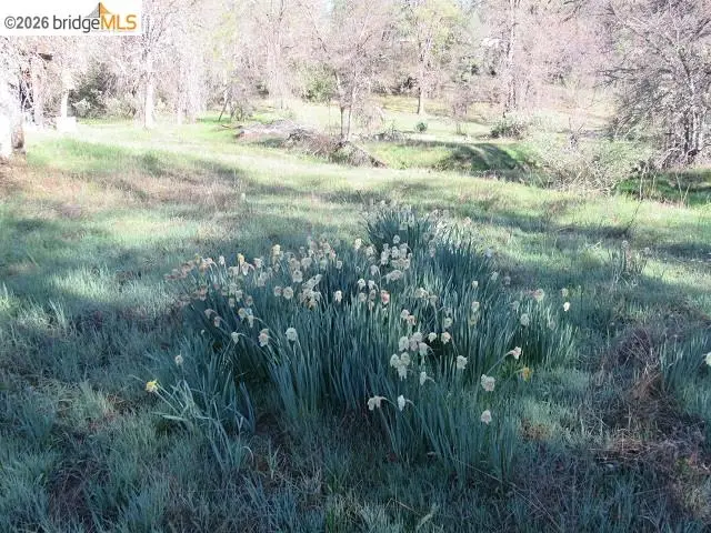 17060 Jupiter Dr., Twain Harte, CA 95383 - #2