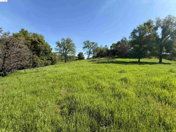 8534 Wilcox Ranch Road, SONORA, CA 95370