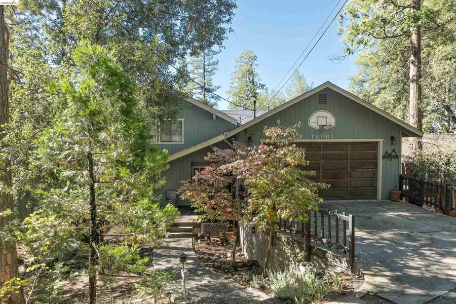 18861 Lookout Dr, Twain Harte, CA 95383 - #2