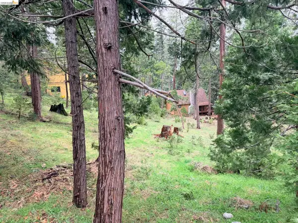 20681 Chief Fuller Way, Mi Wuk Village, CA 95346