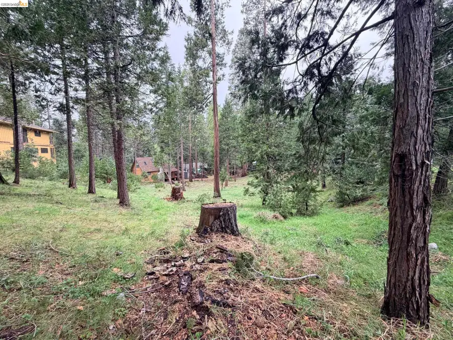 20681 Chief Fuller Way, Mi Wuk Village, CA 95346 - #2