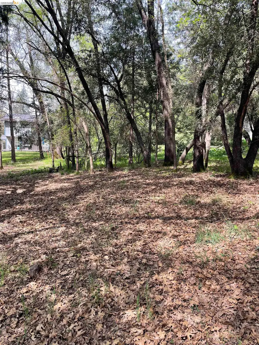 16594 Creekside Dr, Sonora, CA 95370 - #2