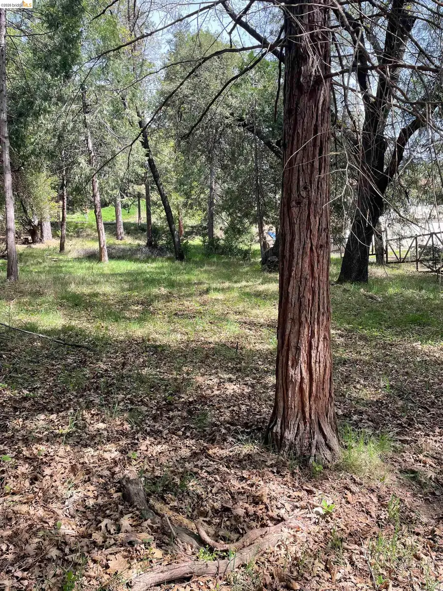 16594 Creekside Dr, Sonora, CA 95370 - #3