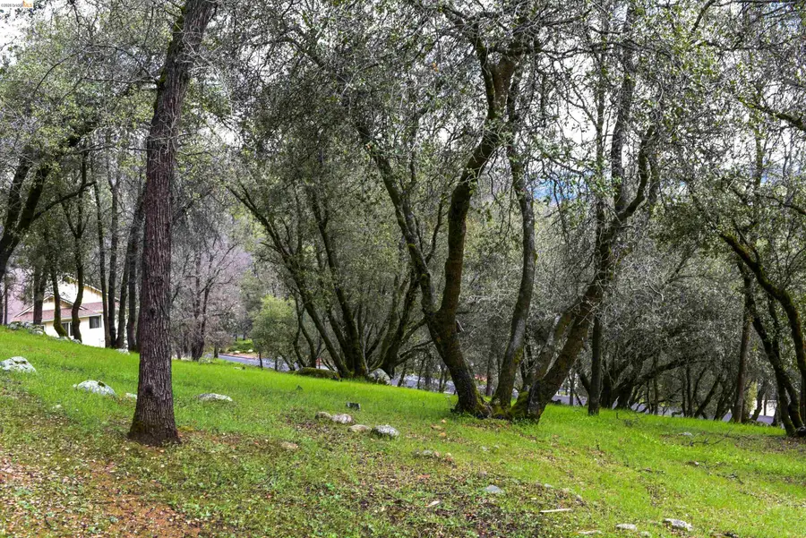 19077 Apple Valley Dr., Sonora, CA 95370 - #3