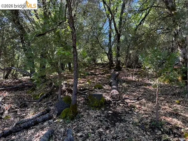 21344 Green Meadow Ln, Sonora, CA 95370 - #1