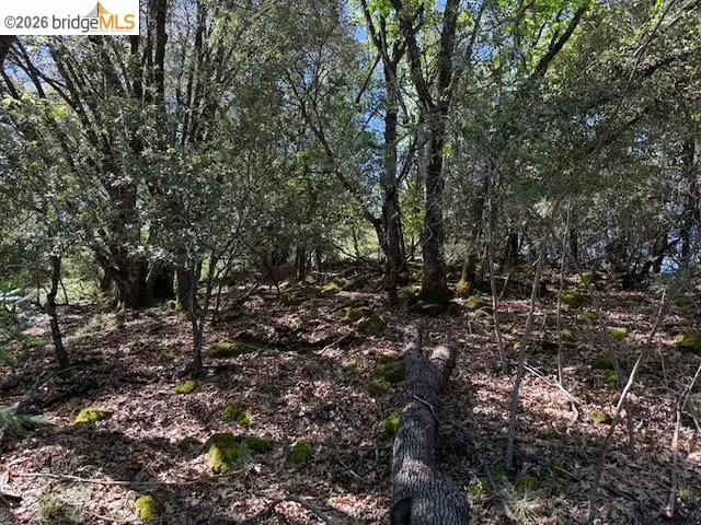 21344 Green Meadow Ln, Sonora, CA 95370 - #2