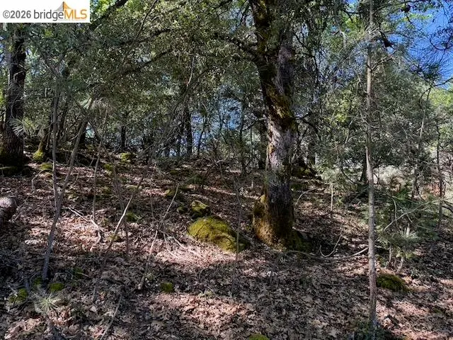 21344 Green Meadow Ln, Sonora, CA 95370 - #3