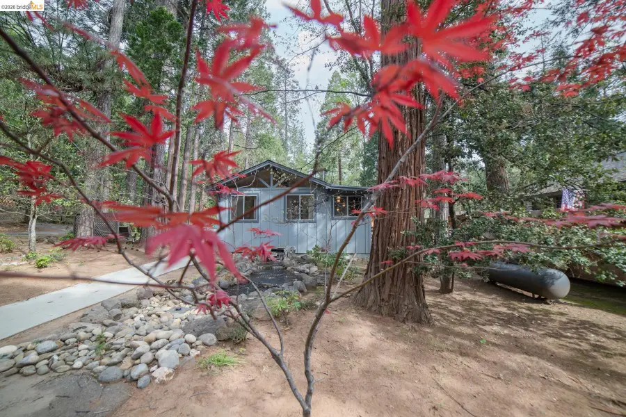 18638 Mother Lode, Twain Harte, CA 95383 - #3