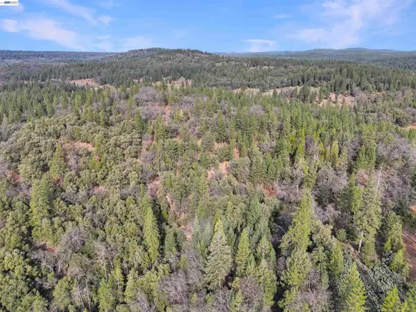 4700 Kelley Pl, Garden Valley, CA 95633