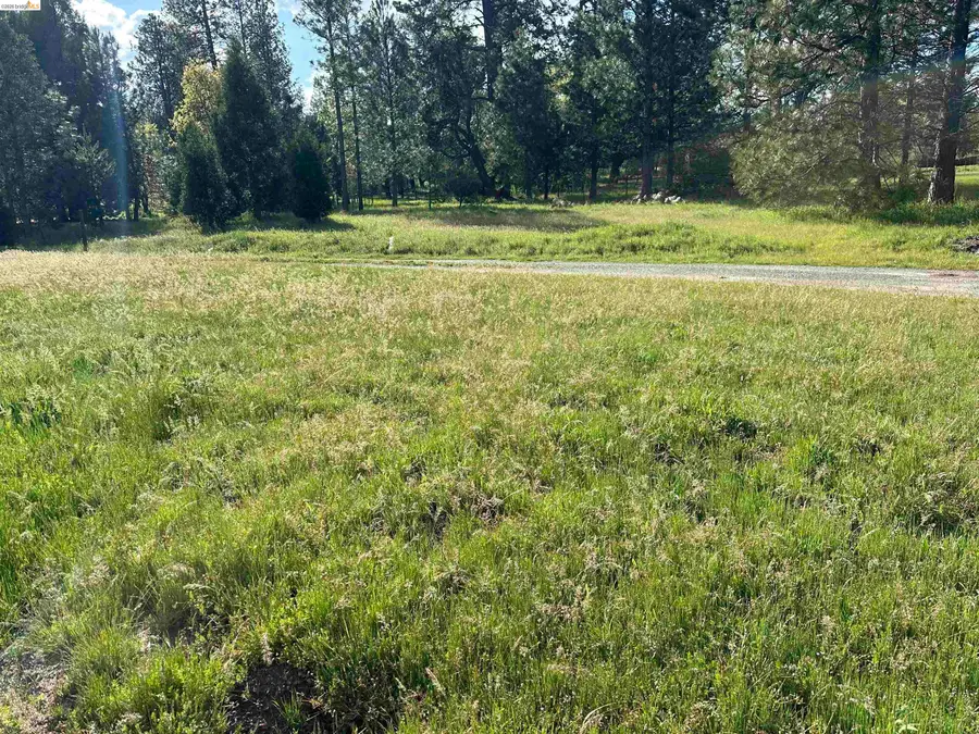 6354 Lone Oak Dr, Coulterville, CA 95311 - #3