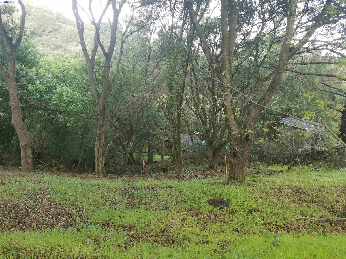 12 Vista Del Orinda, Orinda, CA 94563 - #1