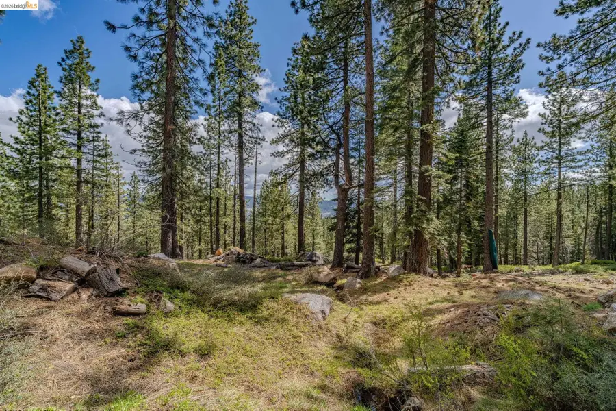 1361 Summit View Rd, Arnold, CA 95223 - #3