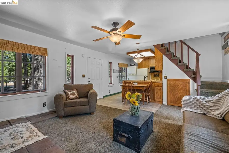 173 Cliff, Pinecrest, CA 95364 - #3