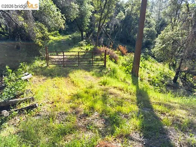 18516 Mastadon Mine Rd, Tuolumne, CA 95379 - #1