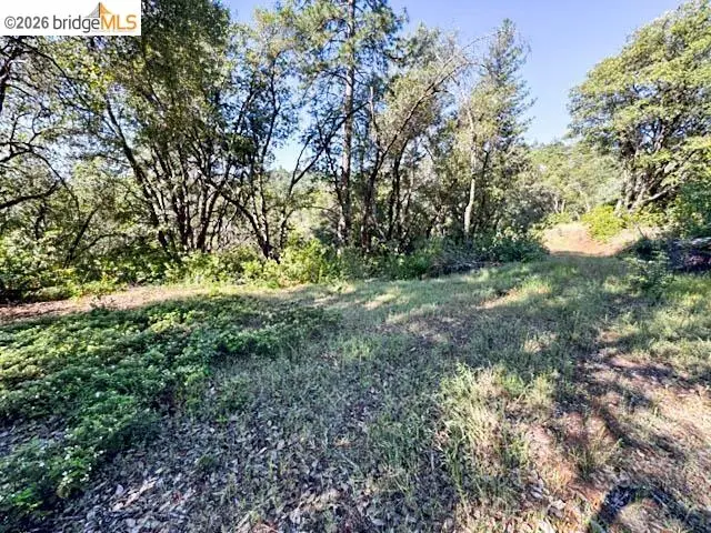 18516 Mastadon Mine Rd, Tuolumne, CA 95379 - #3