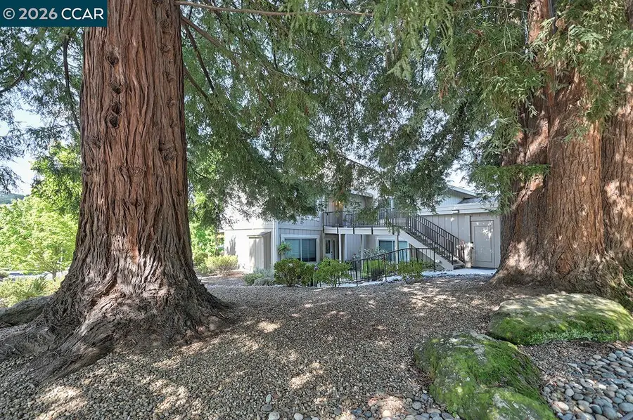 2175 Cactus Ct  #1, Walnut Creek, CA 94595 - #3